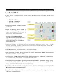 GIUNZIONI CELLULARI, GIUNZIONI CELLULA-MATRICE