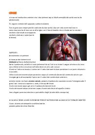 Anatomia umana completo