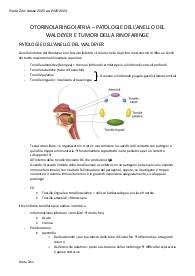 Appunti di Otorinolaringoiatria (aa 2023-2024) UniSR