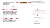 Properzio (vita e opere)