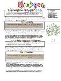 Riproduzione delle cellule/La produzione e il consumo di energia