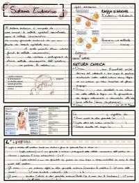 Appunti sul sistema endocrino