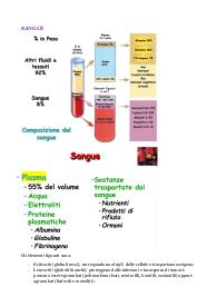 Appunti sul sangue di anatomia