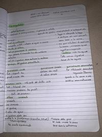 appunti di diritto sulla magistratura