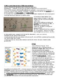 RNA e DNA quinta superiore