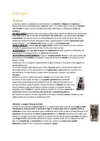 Arte egizia,arte minoica e micenea,arte greca (solo Età di formazione e arcaica)