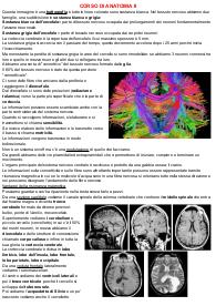 Appunti di anatomia 2