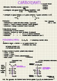 Biomolecole (Carboidrati, Lipidi, Proteine, Acidi Nucleici)