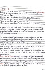 Riassunti 1/2/3/4 canto Divina Commedia