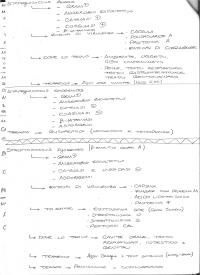 Schemi di microbiologia