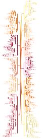 Mappa concettuale di Macroeconomia