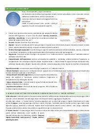 Fisiologia della nutrizione umana