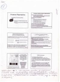 Analisi Biochimico Cliniche - Proteine Plasmatiche