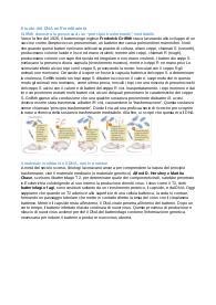 Il dna