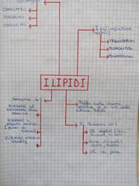Appunti Scienze degli alimenti