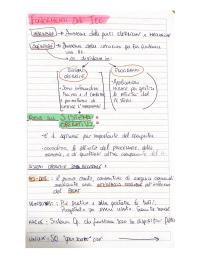 EIPASS 7 moduli - Alfabetizzazione informatica - Modulo 1 Fondamenti ITC