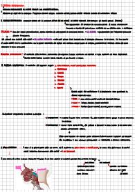 Sistema Respiratorio schematizzato