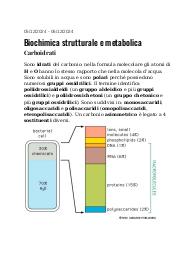 Appunti/Dispense Biochimica 2.0 "CARBOIDRATI"