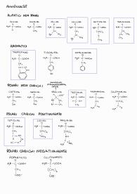 Amminoacidi, peptidi, proteine e cinetica enzimatica, Appunti di Biochimica