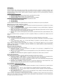 Programma di estetica riassunto