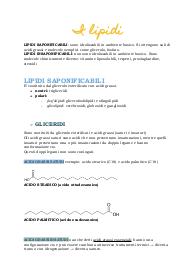 Appunti sui lipidi