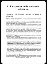 Diritto penale generale e speciale