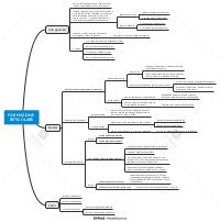 Riassunto di Anatomia Umana - formazione reticolare