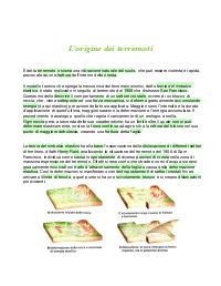 Riassunti scienze della terra, i fenomeni sismici