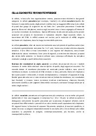 CELLULE EUCARIOTE E PROCARIOTE DIFFERENZE
