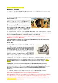 Storia della fotografia