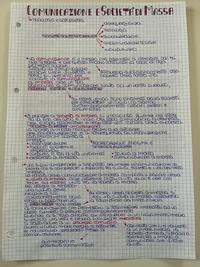 COMUNICAZIONE E SOCIETÀ DI MASSA (parte1)
