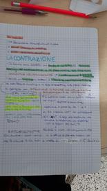 La contrazione muscolare