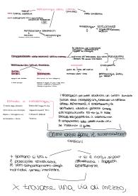 Appunti metodologia della ricerca
