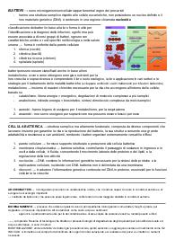 Appunti universitari biologia animale TUTTO IL CORSO