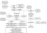 Schema sul Tessuto Ghiandolare Esocrino