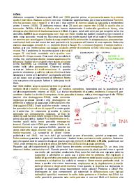 Appunti su DNA, trascrizione e traduzione
