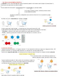 Appunti su “DNA”