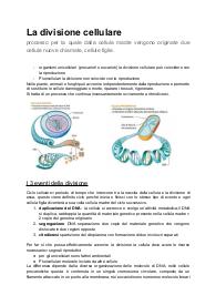 Riassunti sulla divisione cellulare