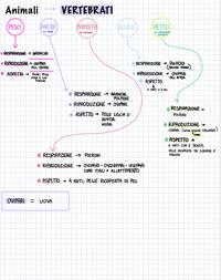 Scienze 3