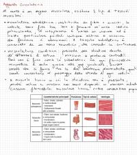 sistema cardiovascolare