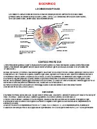 Appunti per esame biochimica