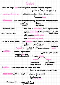 Appunti sui tessuti, anatomia
