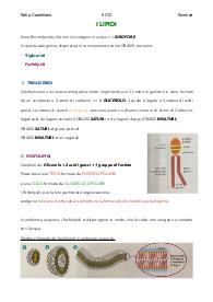 I LIPIDI (scienze)