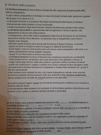 riassunti sulla struttura delle proteine
