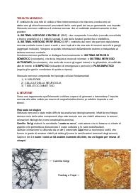 Istologia: tessuto nervoso