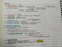 Boccaccio