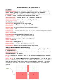 Programma completo di matematica