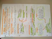 Letteratura