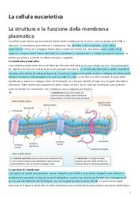 La cellula eucariotica