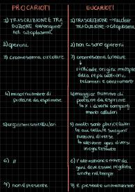 Regolazione dell'espressione genica differenza tra procarioti ed eucarioti